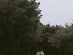 -堤角公园
