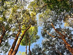 -象头山国家级自然保护区