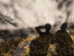 -徐家汇源景区-衡山公园