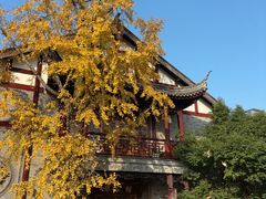 -龙潭水乡