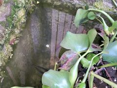 -田园印象·成都土菜院子(华阳店)