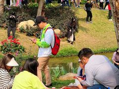 -人民公园(罗湖区)