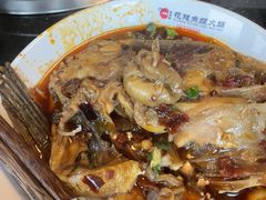 -花鲢鱼头火锅(春城东路店)