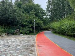 -大兴滨河森林公园