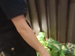 -楚詞CHUCI(国贸店)