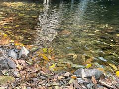 -云岫谷游猎自然风景区