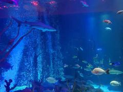 -沈阳海洋探索中心