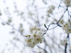 -国际非物质文化遗产博览园