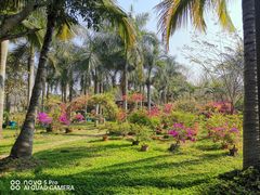 -西双版纳傣族园