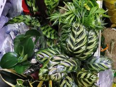 -三旗百汇商品城