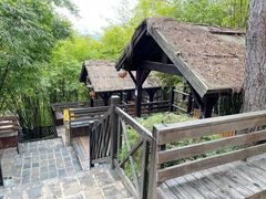 -崇阳三特浪口温泉