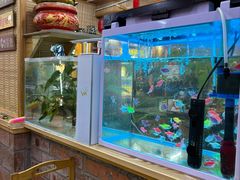 -老姐石板烧烤+铜炭火锅(总店)