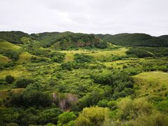 -御道口草原森林风景区