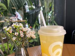 -gaga(深圳南山益田假日广场店)