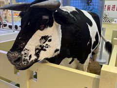 -红星前进面包牛奶公司(君太店)