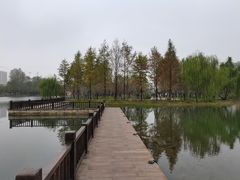 -洋湖国家湿地公园