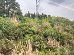 -白鹭湾湿地公园