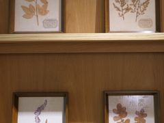 -左悦·艾灸调理·推拿按摩·精油SPA(卓悦汇店)