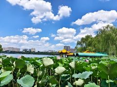 -济南大明湖景区