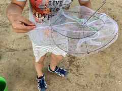 -永定河休闲森林公园