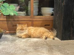 -自由生长植物工作室(深港花卉中心店)