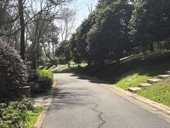 -苏州环秀晓筑养生度假村