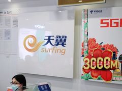 -中国电信(国和路营业厅)