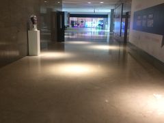 -三亚湾红树林度假世界(木棉酒店)