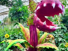 -沈阳植物园