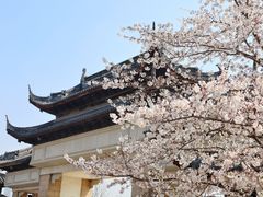 -苏州上方山国家森林公园