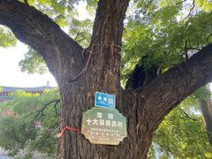 -洛阳周公庙博物馆