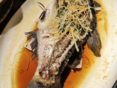 -楚天美食坊(越秀先烈中路店)