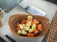 -海南热带野生动植物园