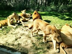 -北京野生动物园