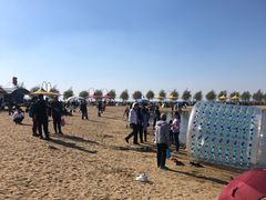 -呼兰河口湿地公园