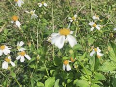 -福田红树林生态公园