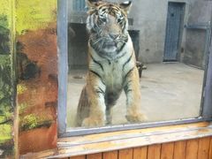 -西安秦岭野生动物园
