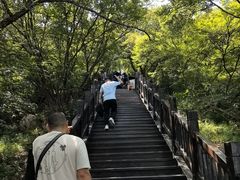 -狼牙山风景区