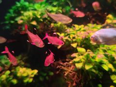 -多彩贵州城极地海洋世界