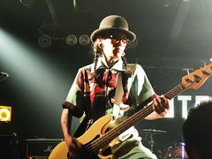 -坚果NUTS