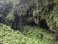 -海口火山口国家地质公园