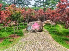 -广州市帽峰山景区