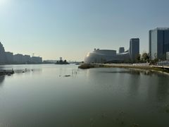 -金沙湖公园
