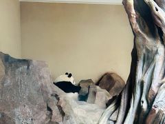 -宁波野生动物园