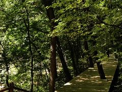 -关门山森林公园