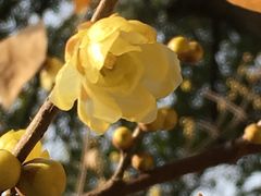 -澹台湖公园