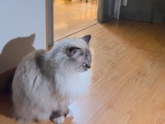 -剧狐剧本杀·月球探案馆(人民广场1号店)