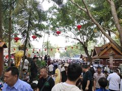 -西双版纳傣族园