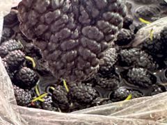 -飞虹鱼馆(春华路店)