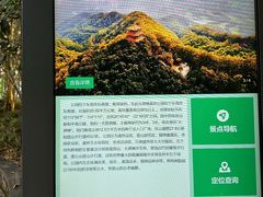 -大屏嶂森林公园